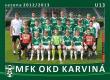 Tým 2012/2013